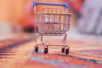 a miniature shopping cart sitting on top of a rug